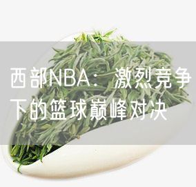 西部NBA：激烈竞争下的篮球巅峰对决