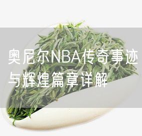 奥尼尔NBA传奇事迹与辉煌篇章详解