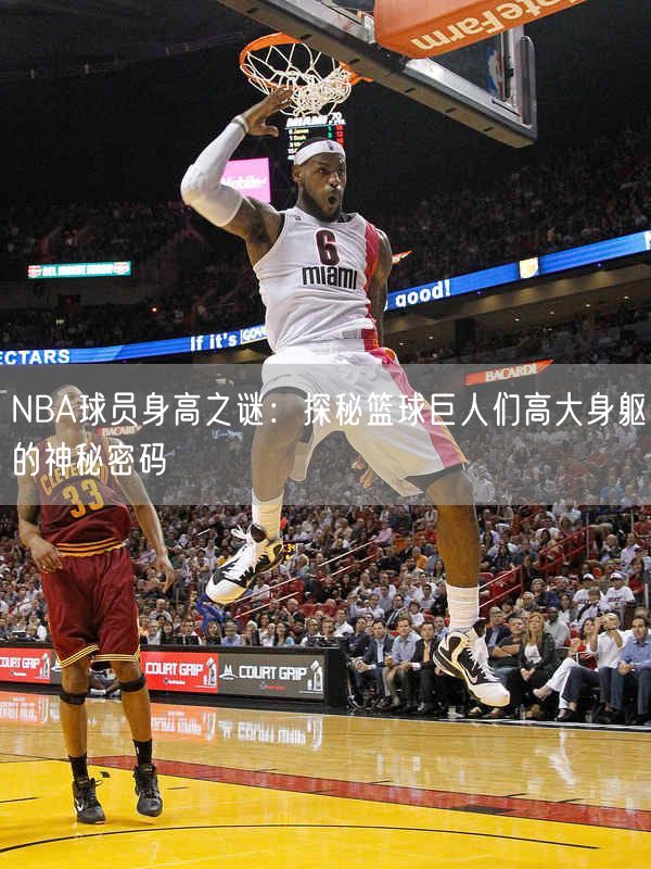 NBA球员身高之谜：探秘篮球巨人们高大身躯的神秘密码