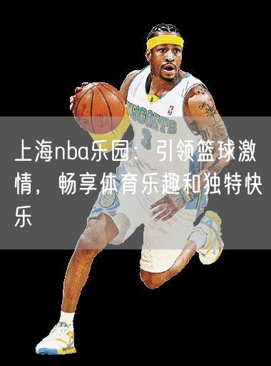 上海nba乐园：引领篮球激情，畅享体育乐趣和独特快乐