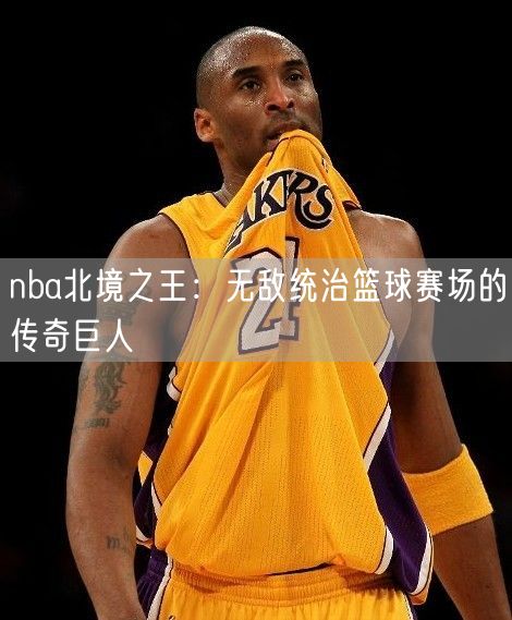 nba北境之王：无敌统治篮球赛场的传奇巨人