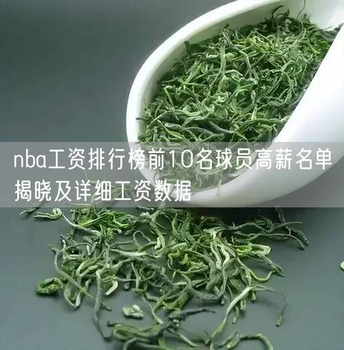 nba工资排行榜前10名球员高薪名单揭晓及详细工资数据