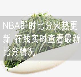 NBA即时比分火热更新 在线实时查看最新比分情况