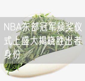 NBA东部冠军颁奖仪式上盛大揭晓胜出者身份