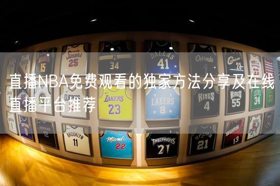 直播NBA免费观看的独家方法分享及在线直播平台推荐