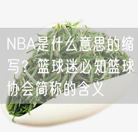 NBA是什么意思的缩写？篮球迷必知篮球协会简称的含义