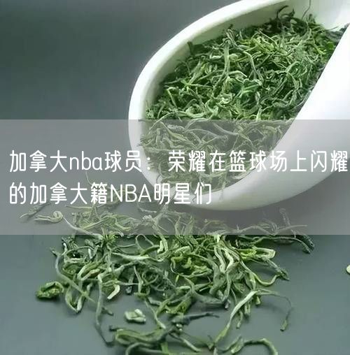 加拿大nba球员：荣耀在篮球场上闪耀的加拿大籍NBA明星们