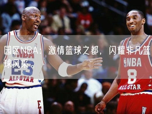 园区NBA：激情篮球之都，闪耀非凡篮球风采。