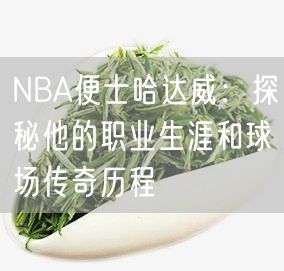 NBA便士哈达威：探秘他的职业生涯和球场传奇历程