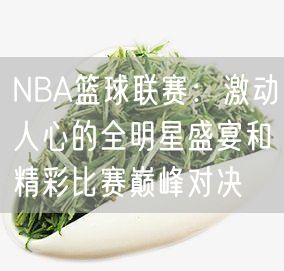 NBA篮球联赛：激动人心的全明星盛宴和精彩比赛巅峰对决