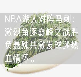 NBA湖人对阵马刺：激烈角逐巅峰之战胜负悬殊共激发球迷热血情怀。