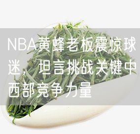 NBA黄蜂老板震惊球迷，坦言挑战关键中西部竞争力量