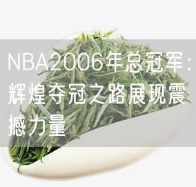 NBA2006年总冠军：辉煌夺冠之路展现震撼力量