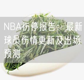 NBA伤停报告：最新球员伤情更新及出场预测