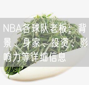 NBA各球队老板：背景、身家、投资、影响力等详细信息