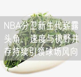 NBA分卫新生代崭露头角，速度与视野并存持续引领球场风向