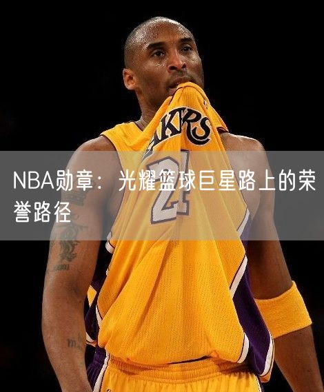 NBA勋章：光耀篮球巨星路上的荣誉路径