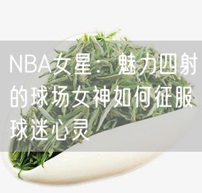 NBA女星：魅力四射的球场女神如何征服球迷心灵