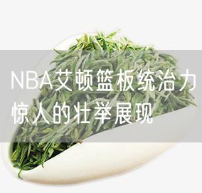 NBA艾顿篮板统治力惊人的壮举展现