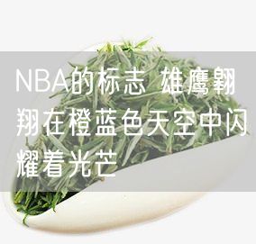 NBA的标志 雄鹰翱翔在橙蓝色天空中闪耀着光芒