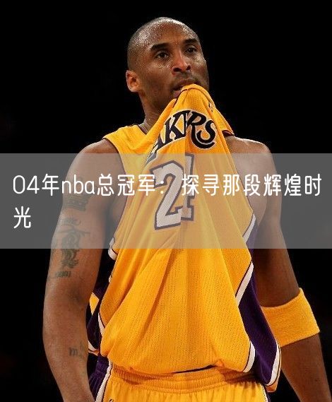 04年nba总冠军：探寻那段辉煌时光