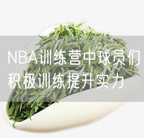 NBA训练营中球员们积极训练提升实力