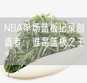 NBA单场篮板记录创造者：谁是篮板之王？