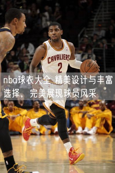 nba球衣大全 精美设计与丰富选择，完美展现球员风采