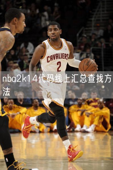 nba2k14代码线上汇总查找方法