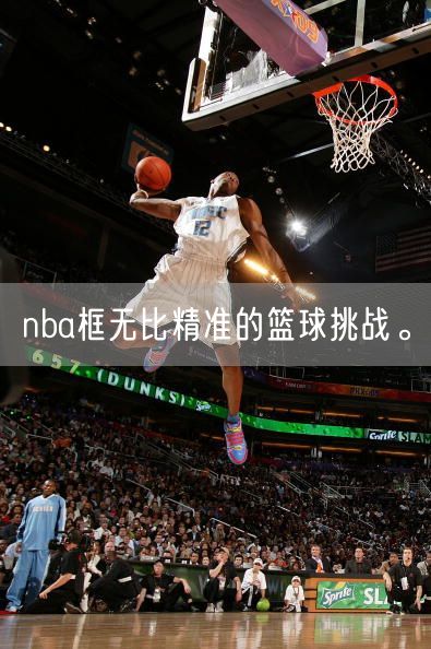 nba框无比精准的篮球挑战。