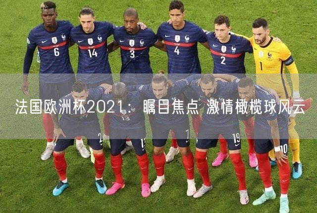 法国欧洲杯2021：瞩目焦点 激情橄榄球风云