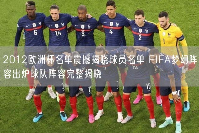 2012欧洲杯名单震撼揭晓球员名单 FIFA梦幻阵容出炉球队阵容完整揭晓