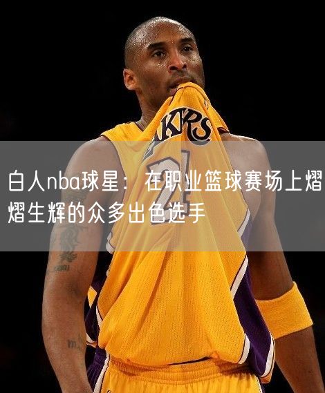 白人nba球星：在职业篮球赛场上熠熠生辉的众多出色选手