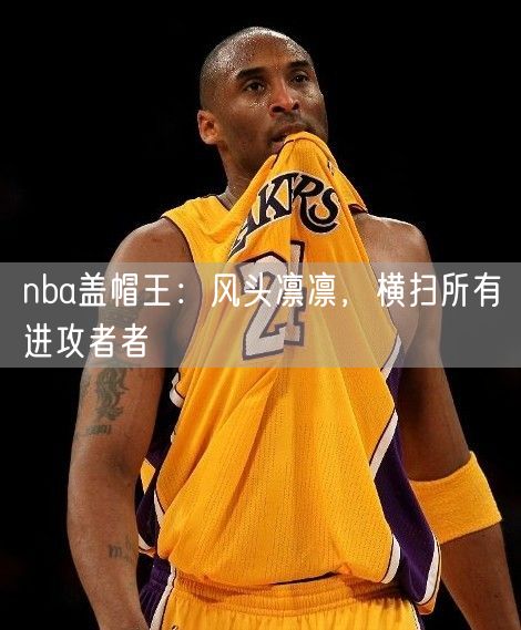 nba盖帽王：风头凛凛，横扫所有进攻者者