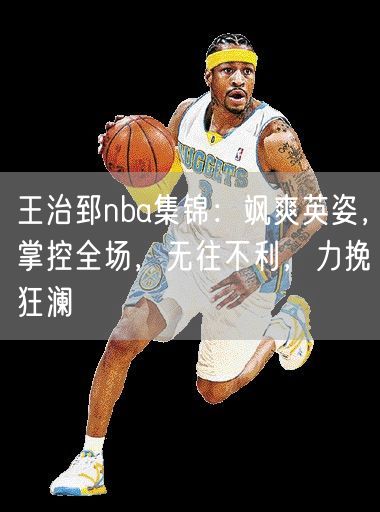 王治郅nba集锦：飒爽英姿，掌控全场，无往不利，力挽狂澜