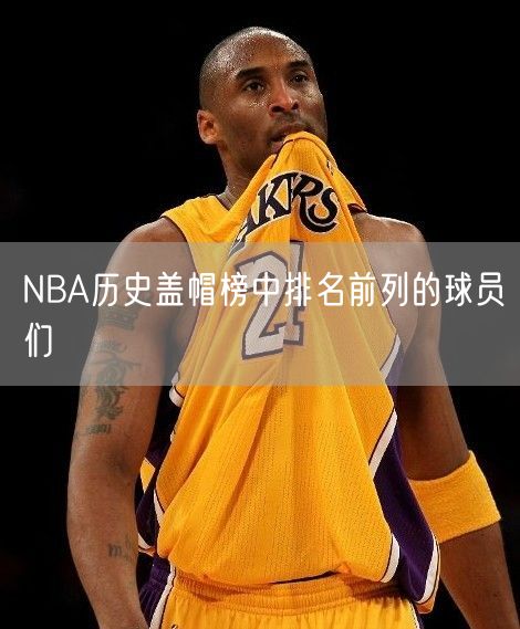 NBA历史盖帽榜中排名前列的球员们