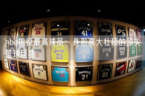 nba现役最高球员：身形高大壮硕的顶尖篮球巨星