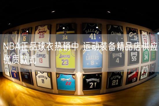 NBA正品球衣热销中 运动装备精品店供应优质款式