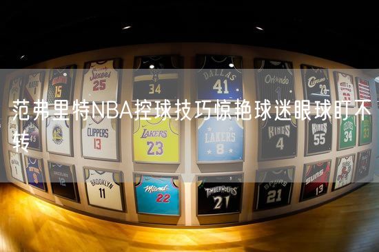 范弗里特NBA控球技巧惊艳球迷眼球盯不转