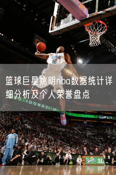 篮球巨星姚明nba数据统计详细分析及个人荣誉盘点