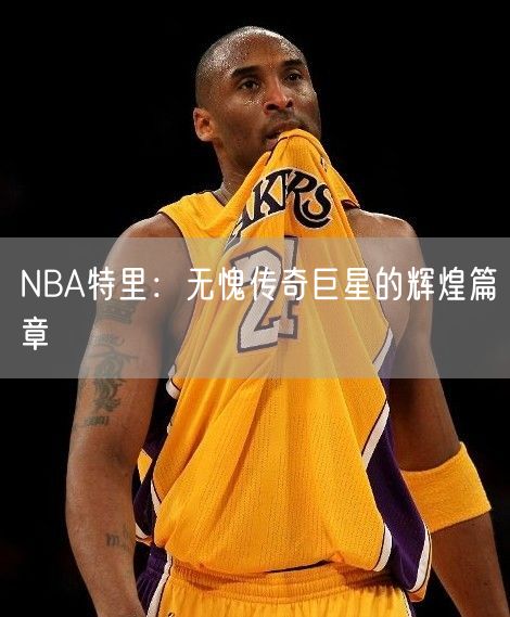 NBA特里：无愧传奇巨星的辉煌篇章