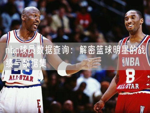 nba球员数据查询：解密篮球明星的战绩与数据集