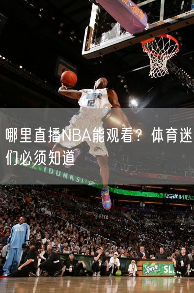 哪里直播NBA能观看？体育迷们必须知道