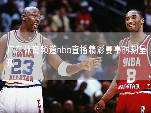 广东体育频道nba直播精彩赛事时刻呈现