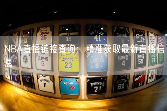 NBA直播链接查询：精准获取最新直播信息