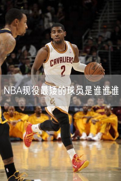 NBA现役最矮的球员是谁谁谁