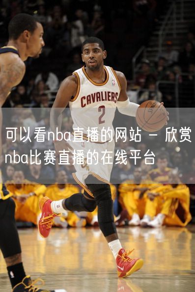 可以看nba直播的网站 - 欣赏nba比赛直播的在线平台