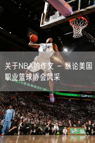 关于NBA的作文 - 纵论美国职业篮球协会风采