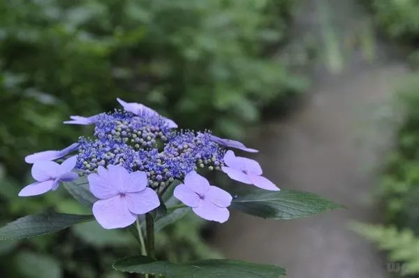 生活语录心情说说大全_语录说说大全心情生活的句子_语录说说大全心情生活短句