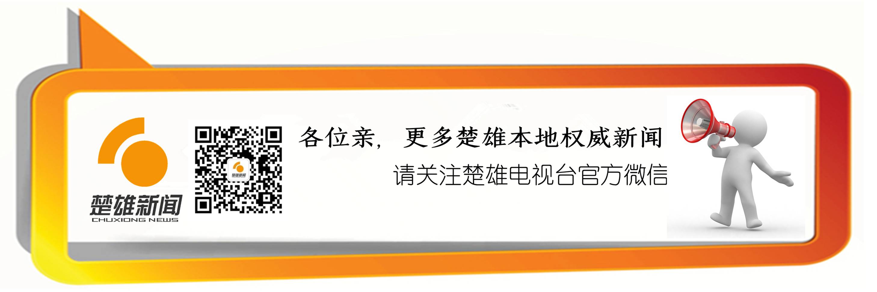 08年欧洲杯荷兰队的主帅-2021欧洲杯荷兰主教练是谁